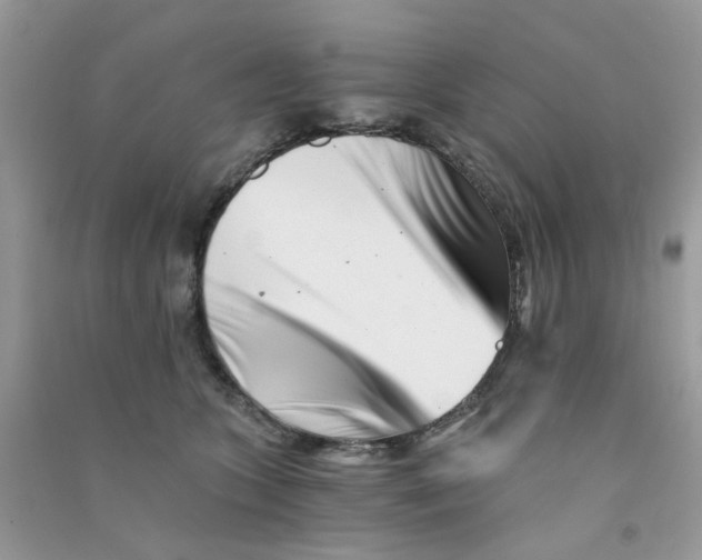 X0000090720563200708171929