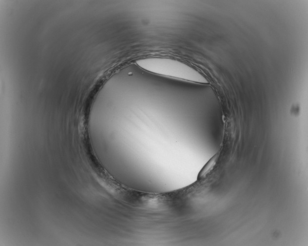 X0000090720564200708171929