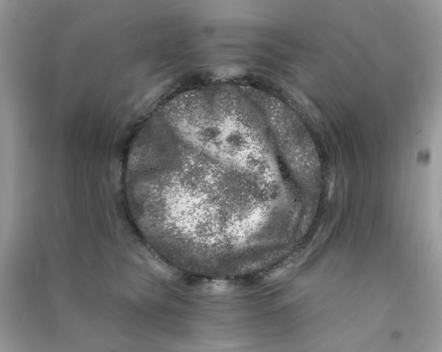 X0000090720565200708171929