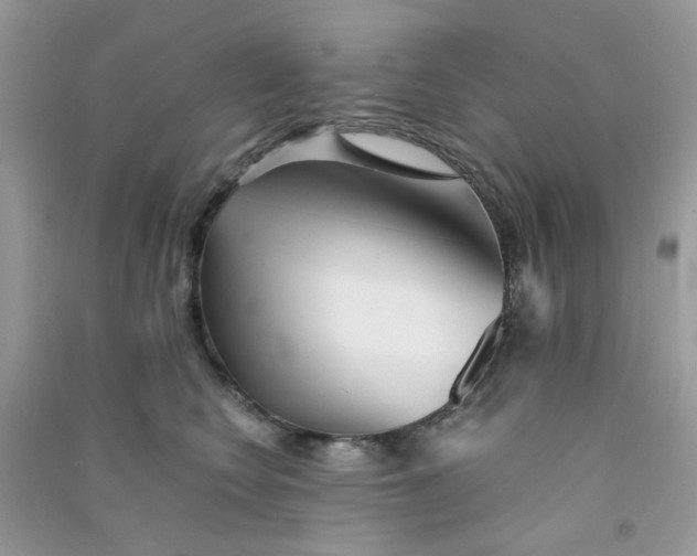 X0000090720566200708171929