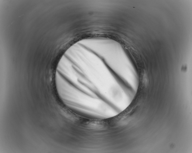 X0000090720567200708171929