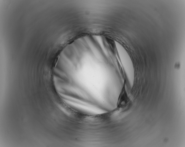 X0000090720568200708171929