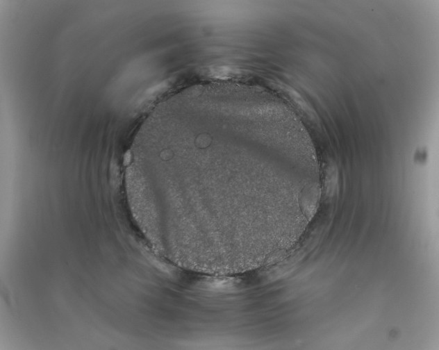 X0000090720569200708171929