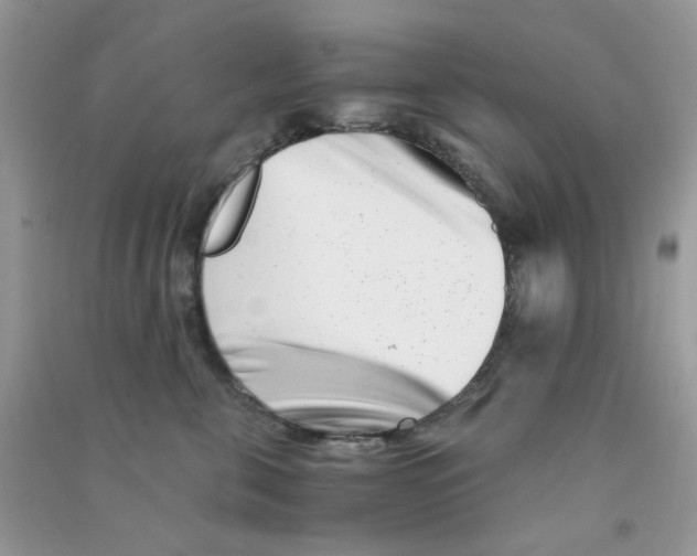 X0000090720571200708171929