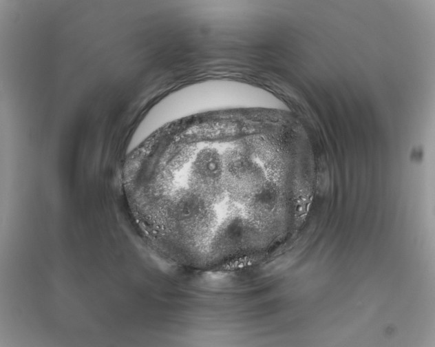 X0000090720573200708171929