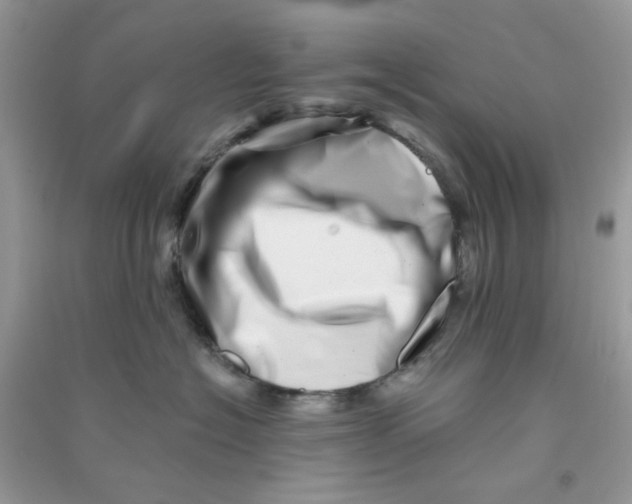 X0000090720574200708171929