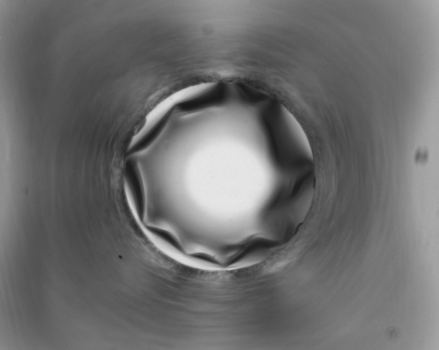 X0000090720576200708171929