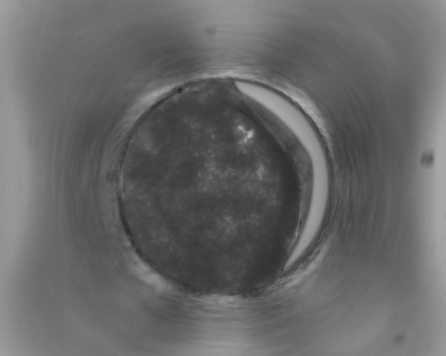 X0000090720577200708171928