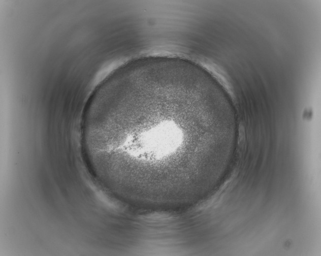 X0000090720578200708171928