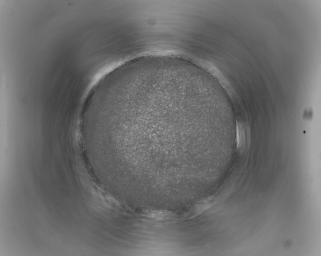 X0000090720579200708171928