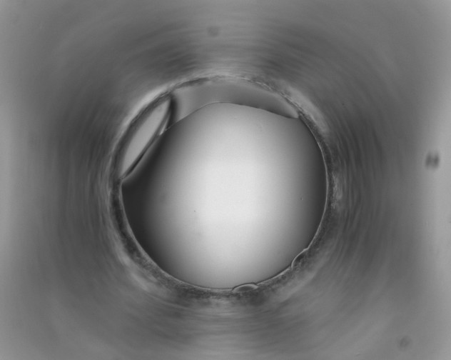 X0000090720580200708171928