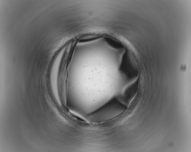 X0000090720581200708171928