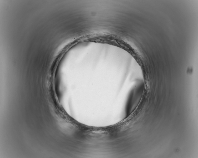 X0000090720583200708171928