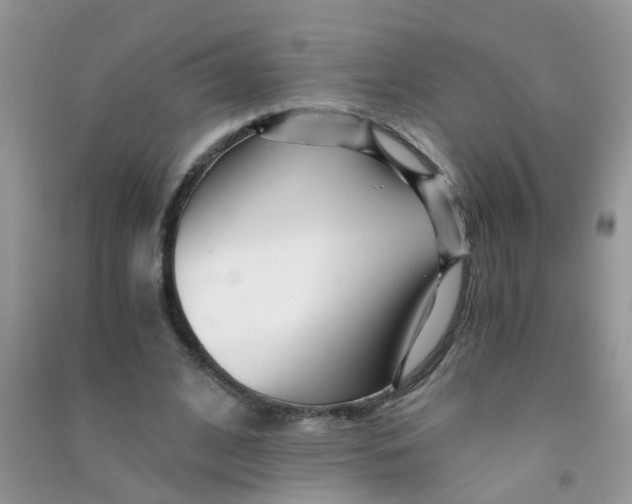 X0000090720584200708171928