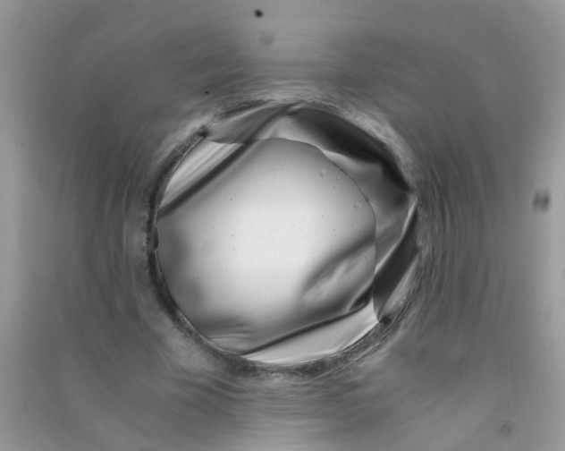 X0000090720585200708171928