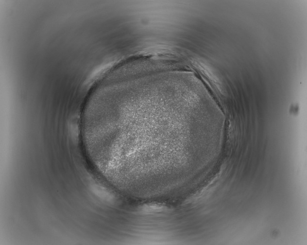 X0000090720586200708171928