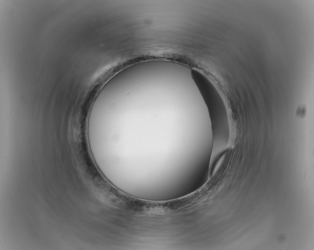 X0000090720587200708171928