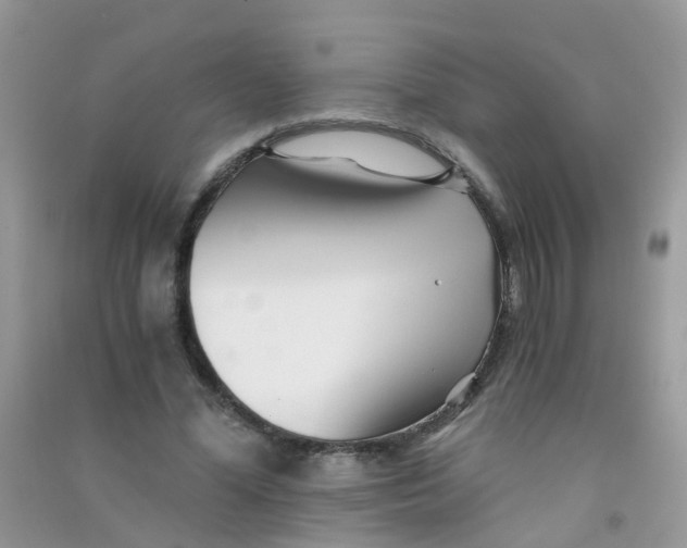 X0000090720588200708171928