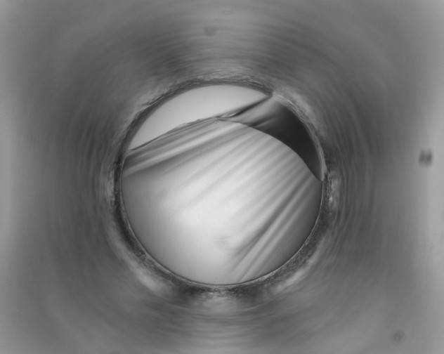 X0000090720589200708171928