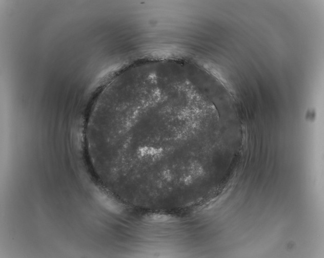 X0000090720590200708171928