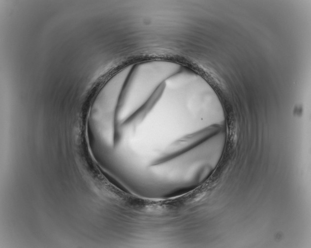 X0000090720591200708171928