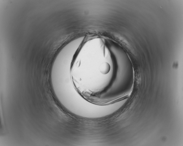 X0000090720593200708171928