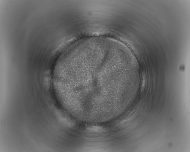 X0000090720594200708171928