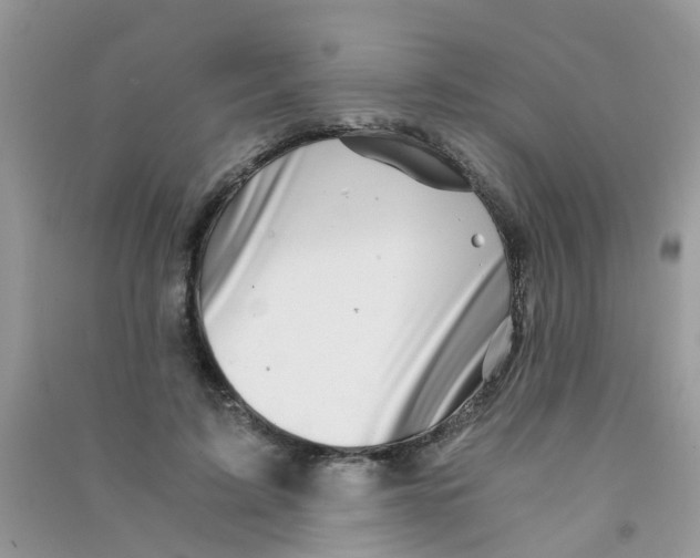 X0000090720595200708171928