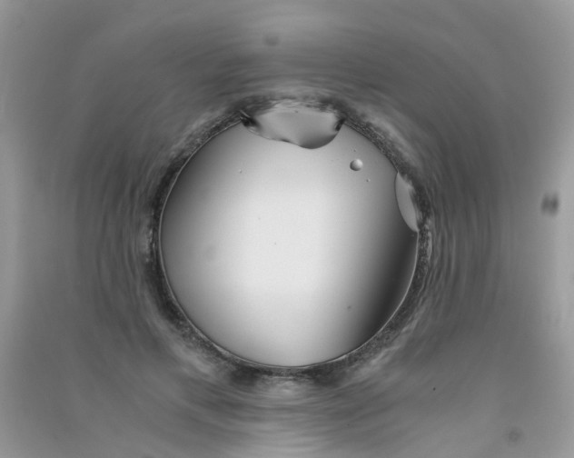 X0000090720597200708171928