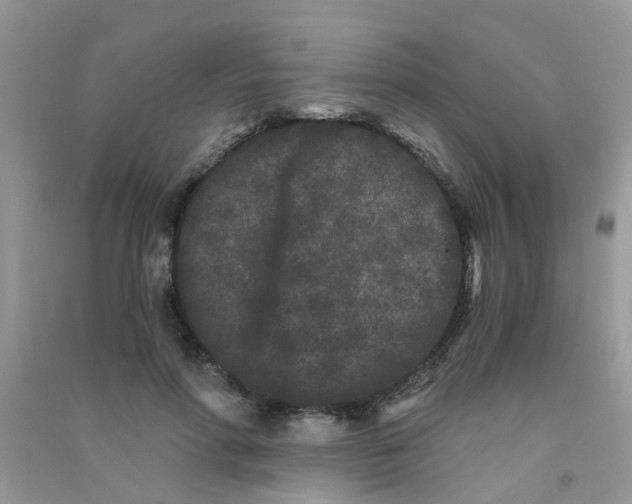 X0000090720598200708171928