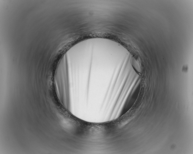 X0000090720599200708171928