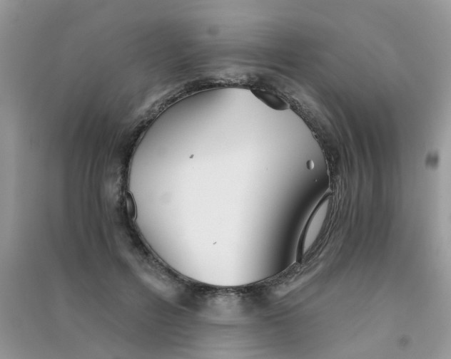 X0000090720600200708171928