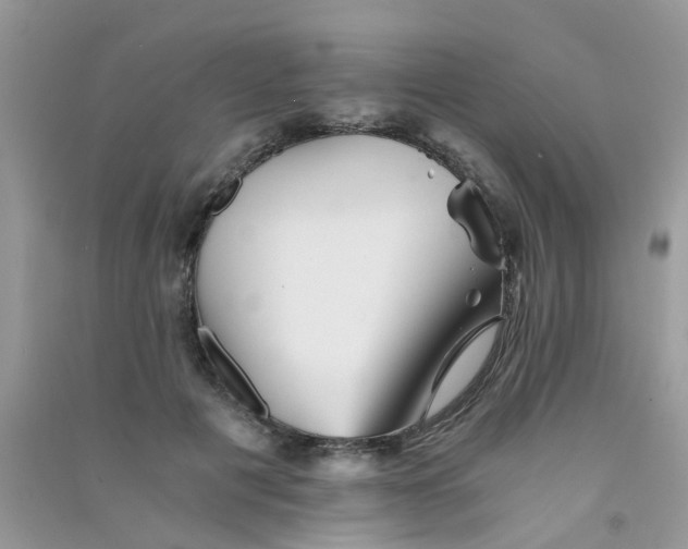 X0000090720601200708171928