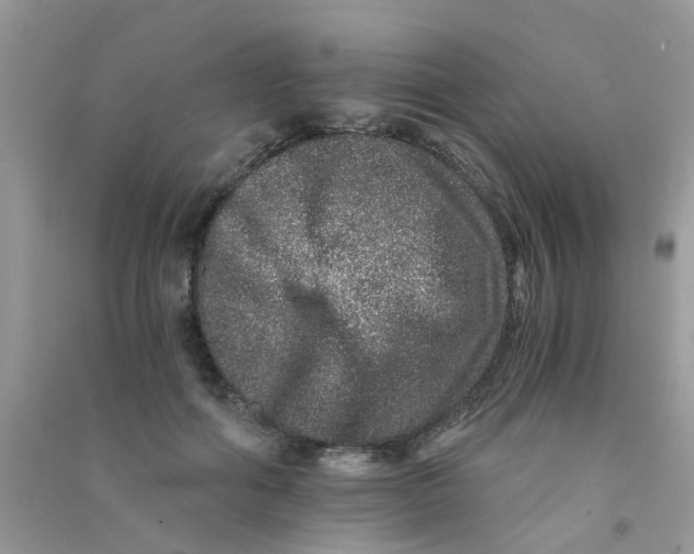 X0000090720602200708171928