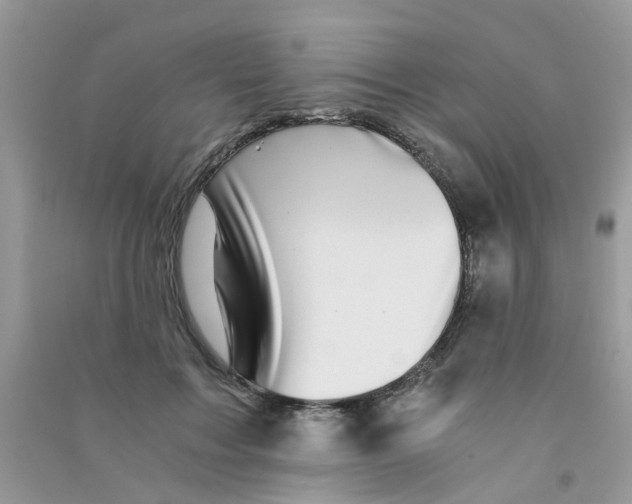 X0000090720603200708171928