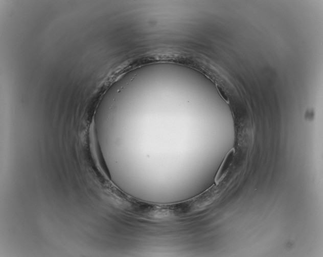 X0000090720604200708171928