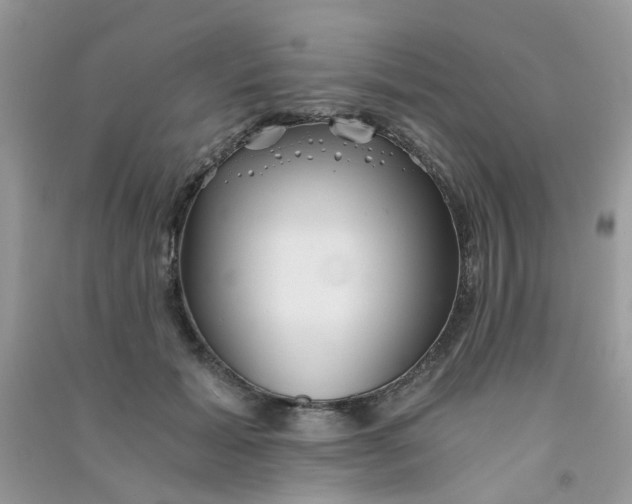 X0000090720605200708171928