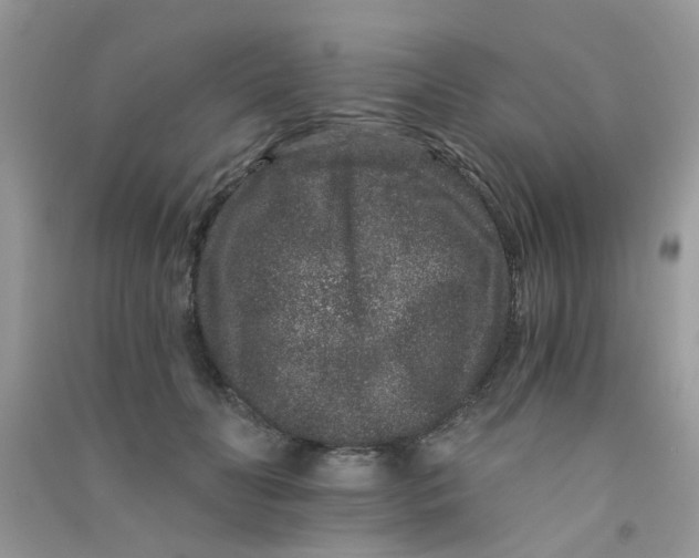 X0000090720606200708171928