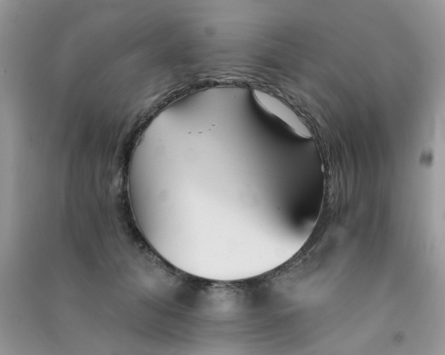 X0000090720608200708171928