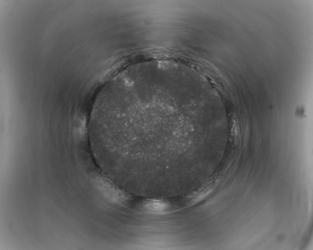 X0000090720610200708171928