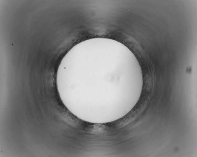 X0000090720612200708171928