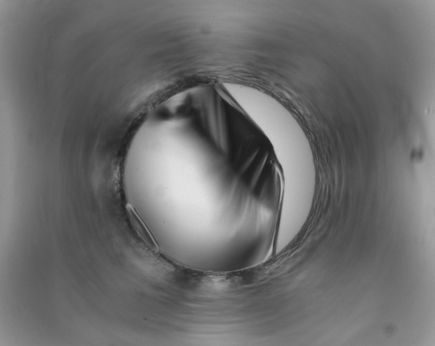 X0000090720613200708171928