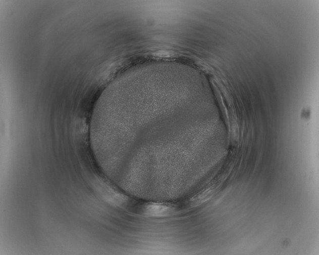 X0000090720614200708171928