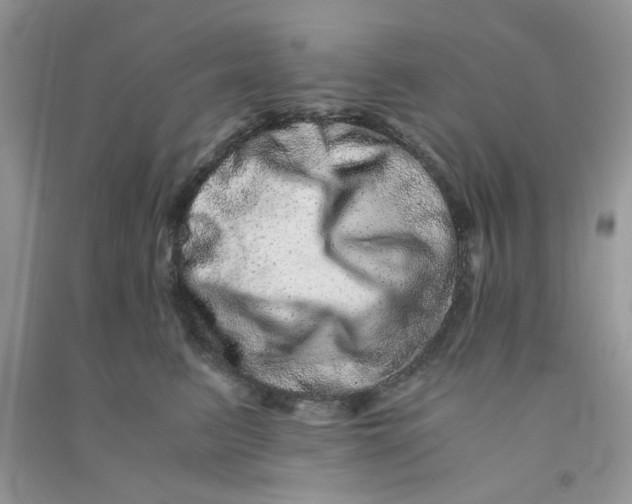 X0000090720615200708171928