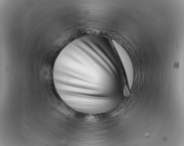 X0000090720616200708171928