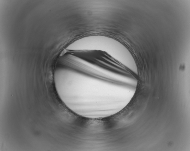 X0000090720617200708171928