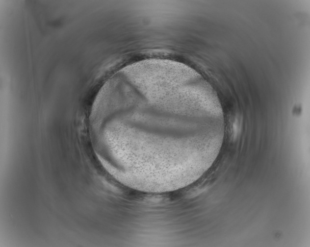 X0000090720619200708171928