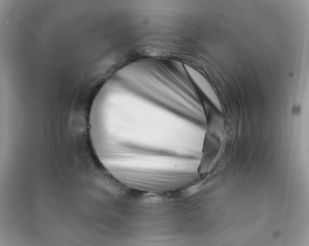 X0000090720620200708171928