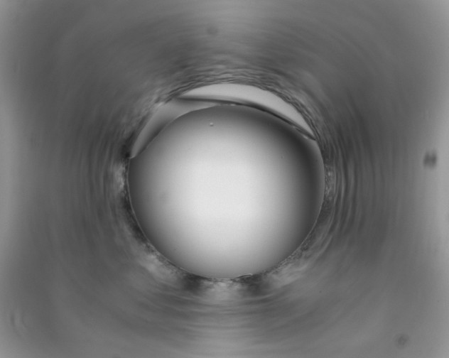 X0000090720621200708171928