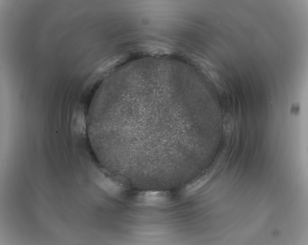 X0000090720622200708171928